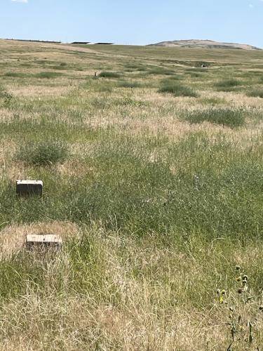 05FEF6B3-255F-4A1C-81DA-4E1927071479 1 105 c