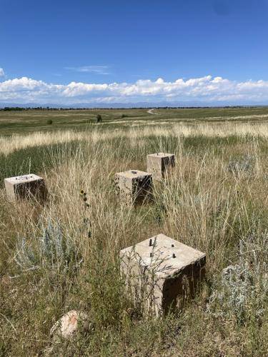 1787FA52-3B65-4E50-8729-5764F0F235F7 1 105 c