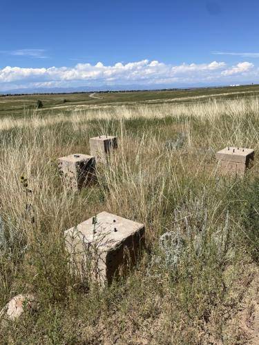 56033F87-5BE1-4EF0-AABE-BAC6CD676F14 1 105 c