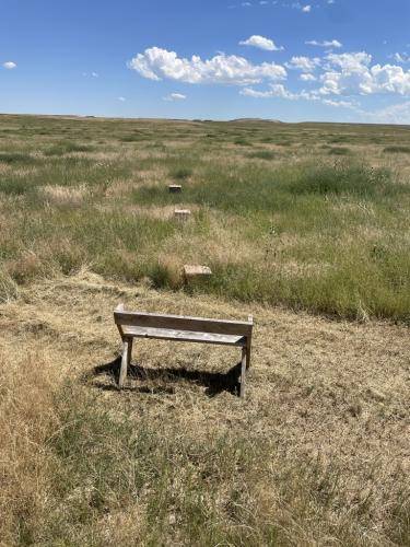 CF85F998-43D4-4478-A6DC-F4A078604827 1 105 c